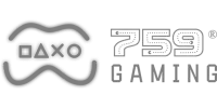 Neteller Brasil partner logo